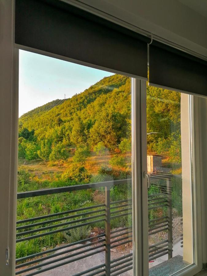 Apartments St.Martinia Ohrid Kültér fotó